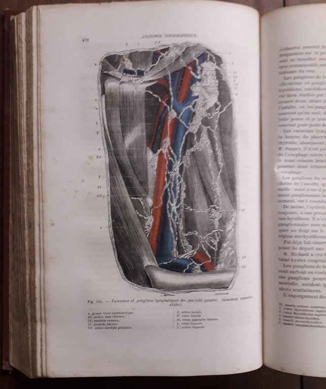 Traité d'Anatomie topographique avec applications a la Chirurgie.