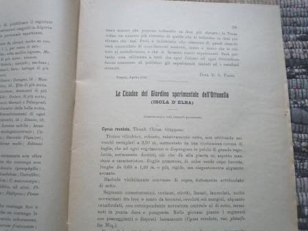 BULLETTINO DELLA R. SOCIETA' DI ORTICULTURA (PERIODICO MENSILE)