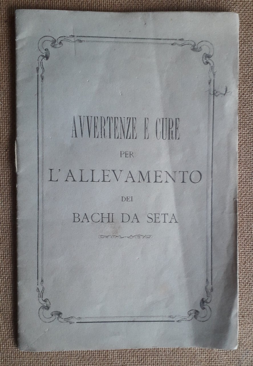 Avvertenze e cure per l'allevamento dei bachi da seta