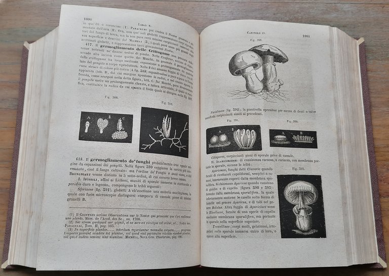 Istituzioni scientifiche e tecniche ossia corso teorico e pratico di …