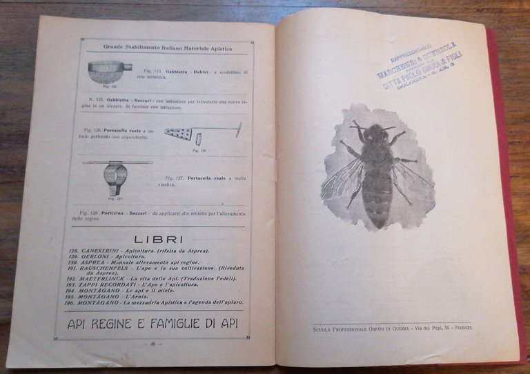 Grande Stabilimento di Materiale Apistico R. Beccari & C. : …