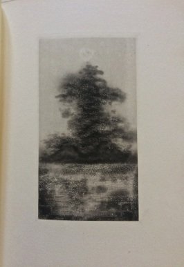 Deux Artistes lyriques par Valery Larbaud. Illustré par Grinevsky.
