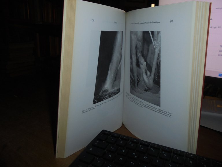 l Restauro del Nettuno la Statua di Gregorio XIII e …