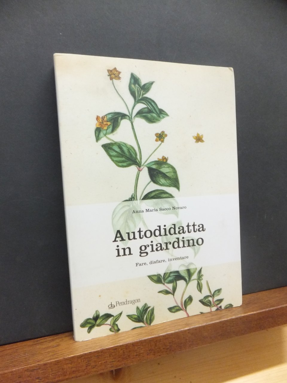 AUTODIDATTA IN GIARDINO