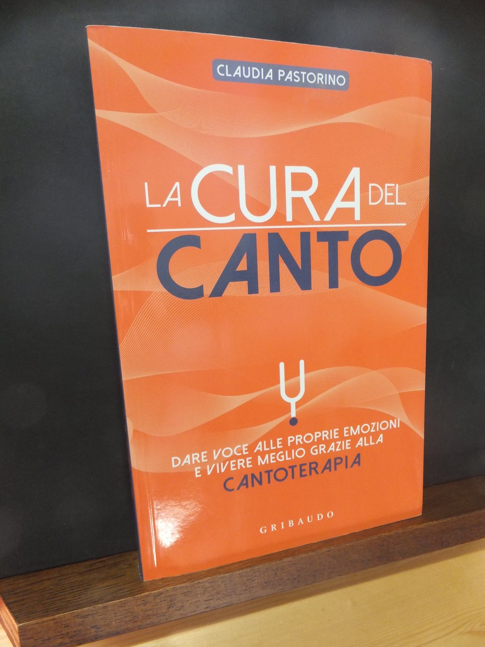 LA CURA DEL CANTO - CANTOTERAPIA