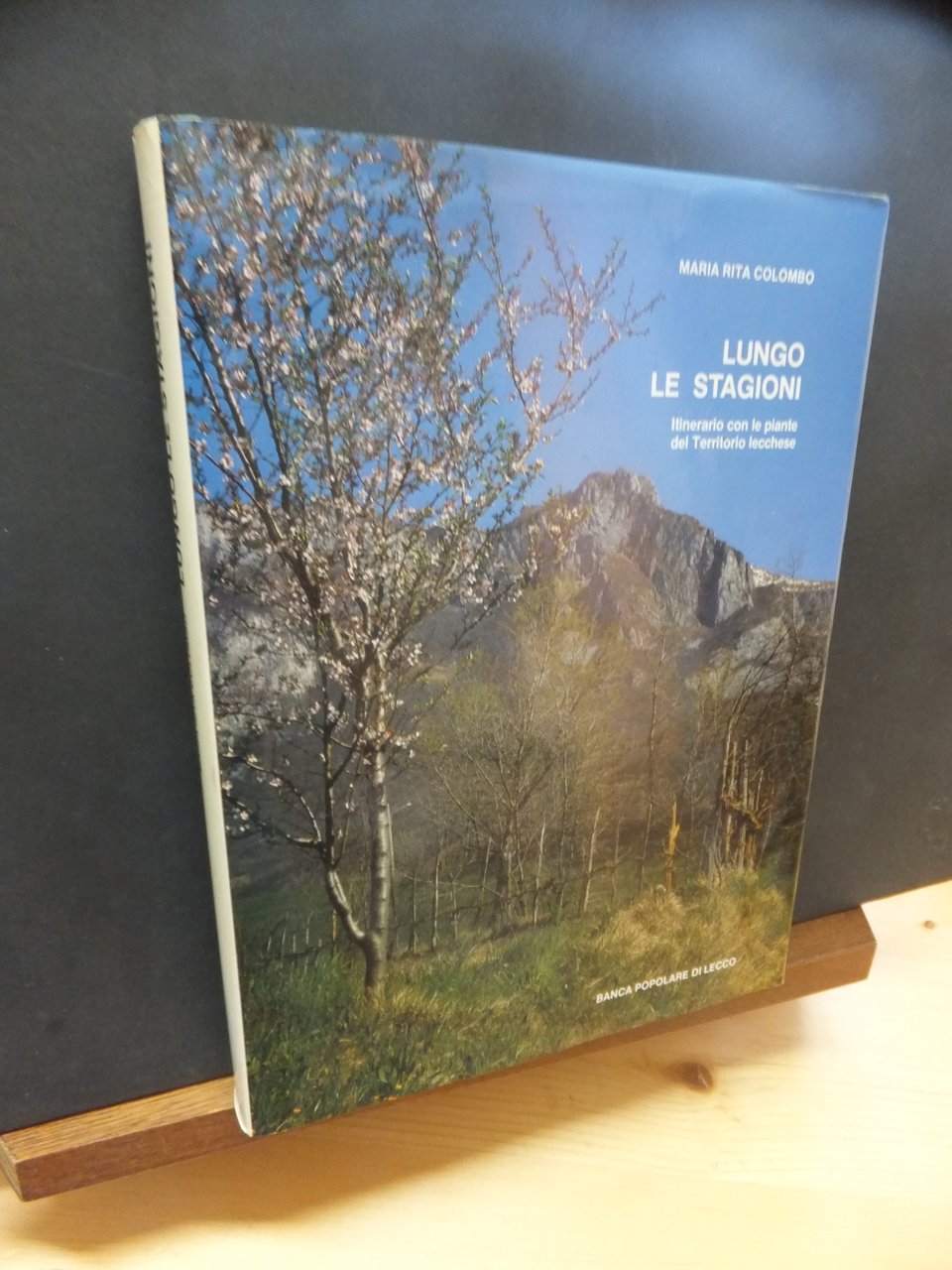 LUNGO LE STAGIONI - ITINERARIO CON LE PIANTE DEL TERRITORIO …