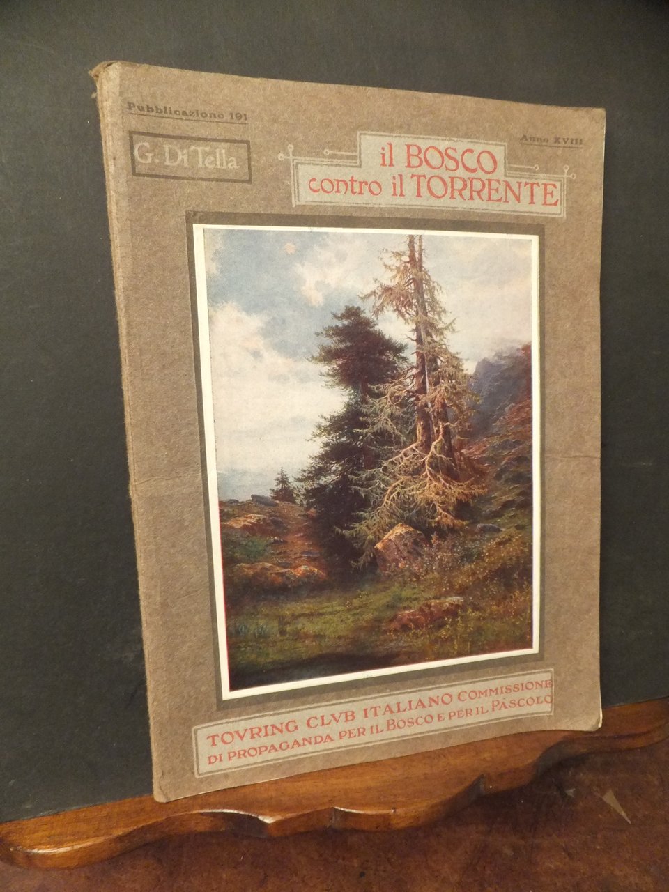 IL BOSCO CONTRO IL TORRENTE