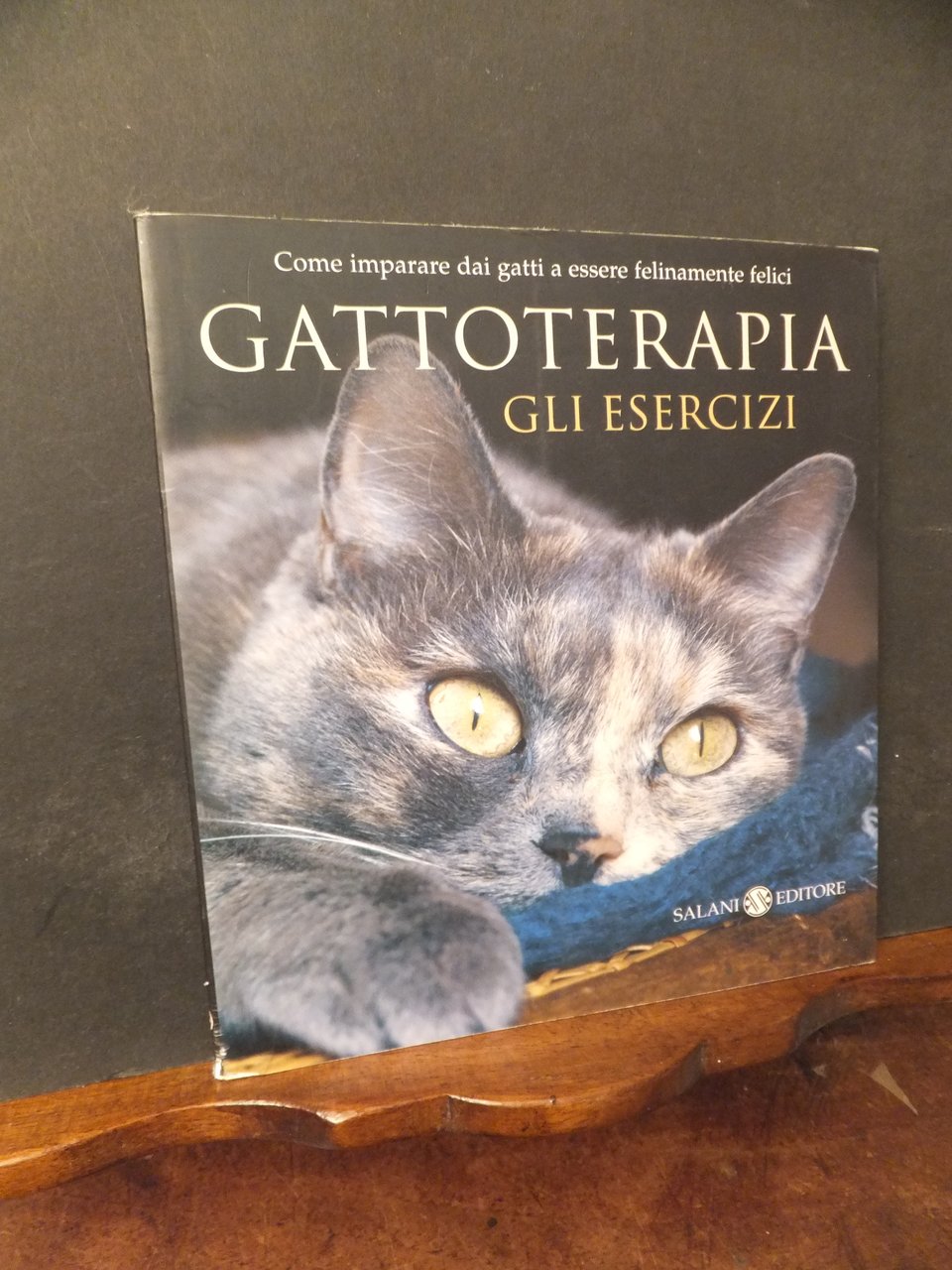 GATTOTERAPIA GLI ESERCIZI