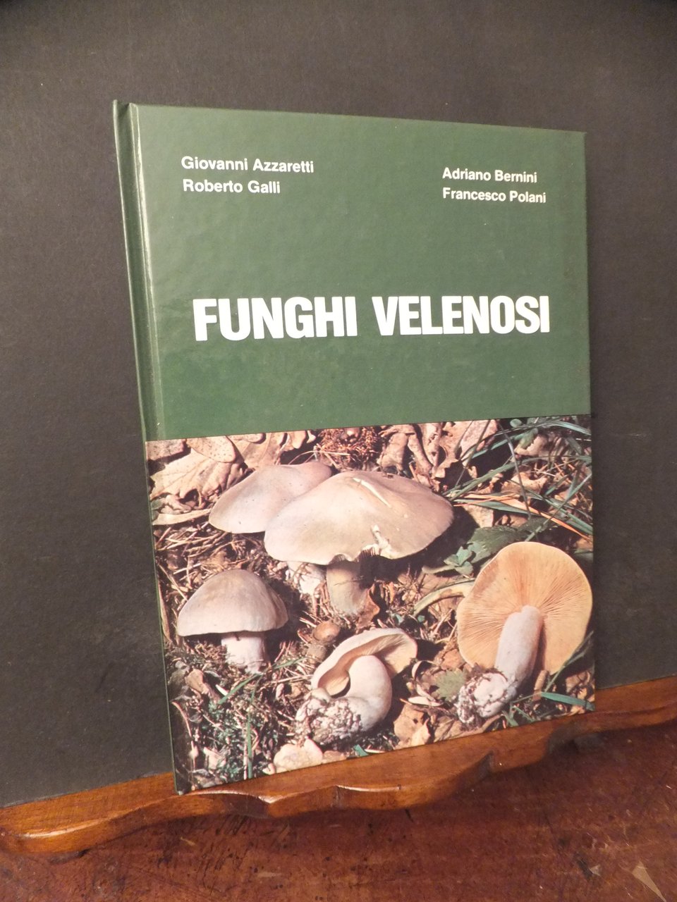 FUNGHI VELENOSI