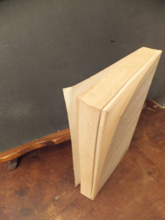 LA BELLEZZA AMARA IL TEATRO DI LEO BERARDINIS