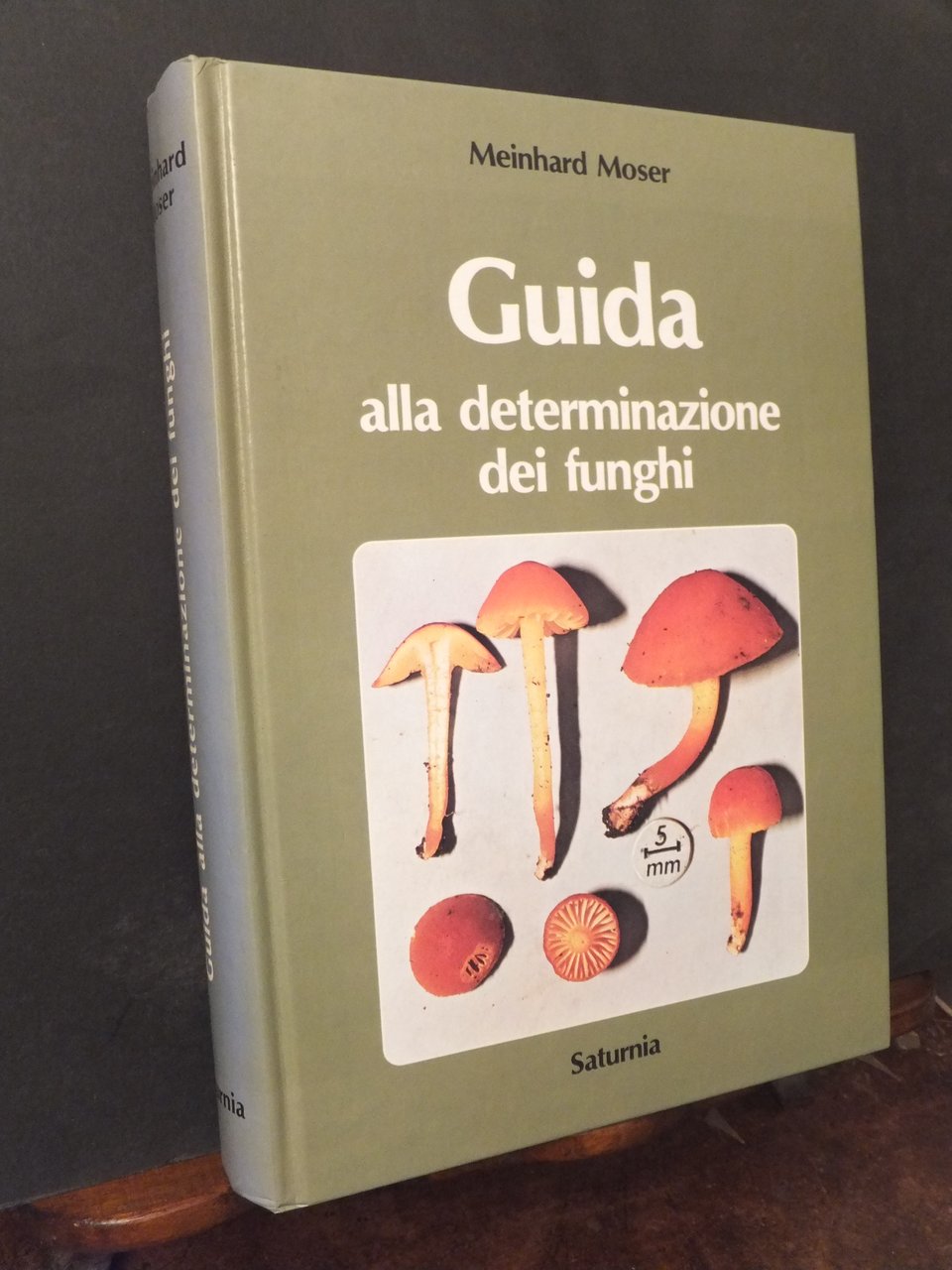 GUIDA ALLA DETERMINAZIONE DEI FUNGHI