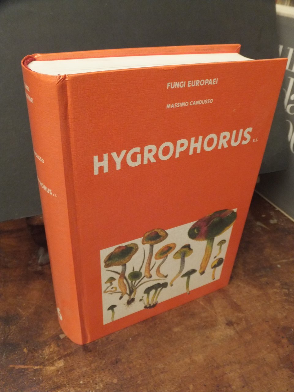 HYGROPHORUS S.L FUNGHI EUROPAEI VOLUME 6