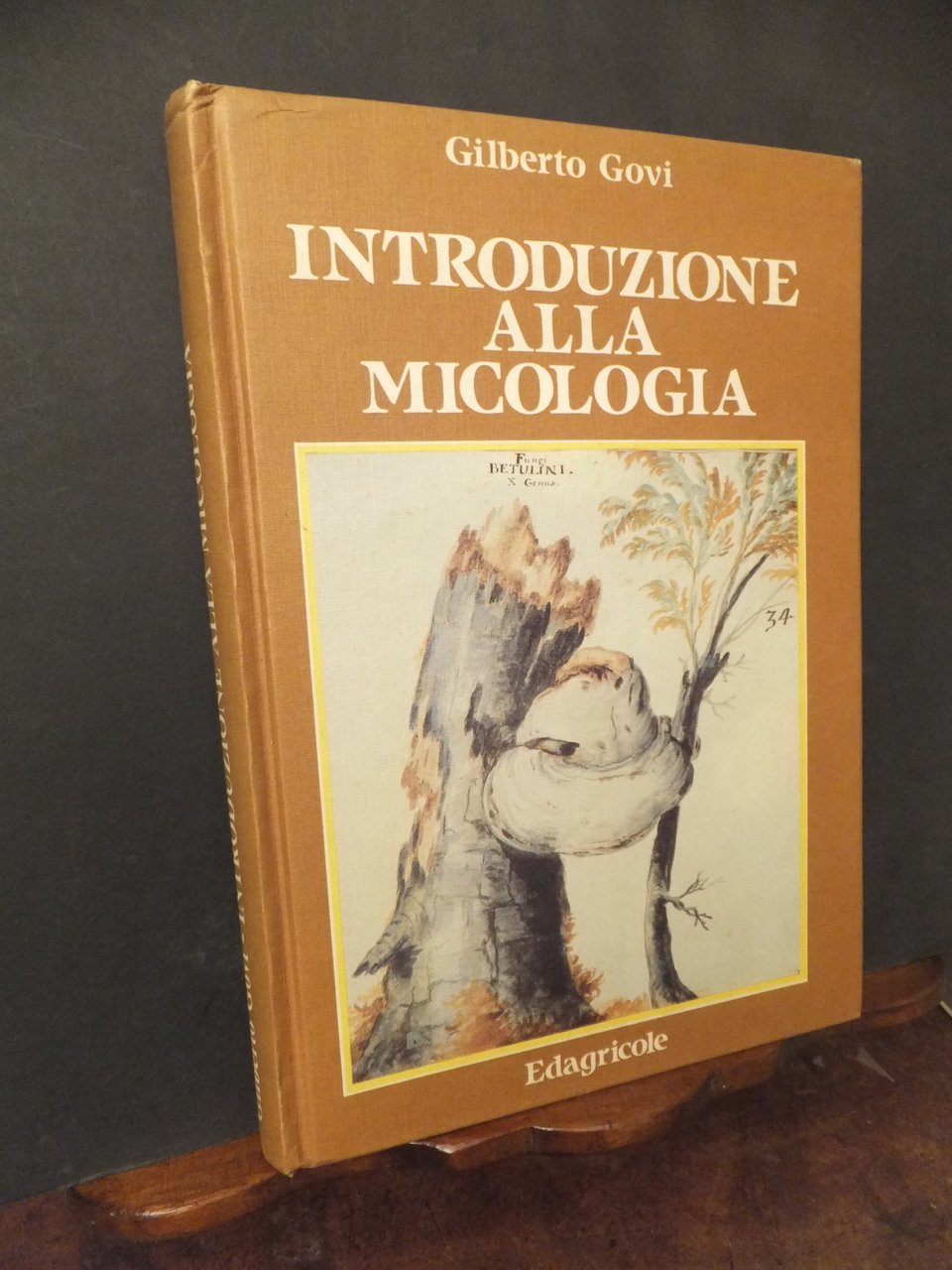 INTRODUZIONE ALLA MICOLOGIA