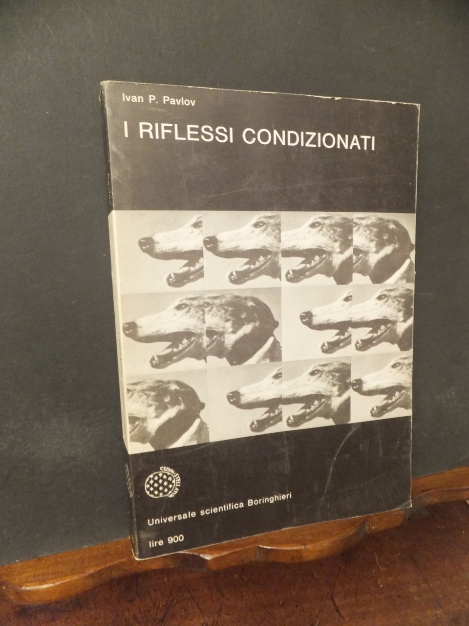 RIFLESSI CONDIZIONATI