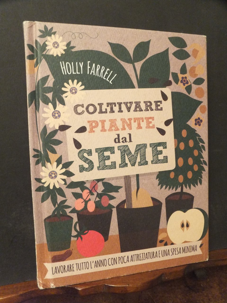 COLTIVARE PIANTE DAL SEME