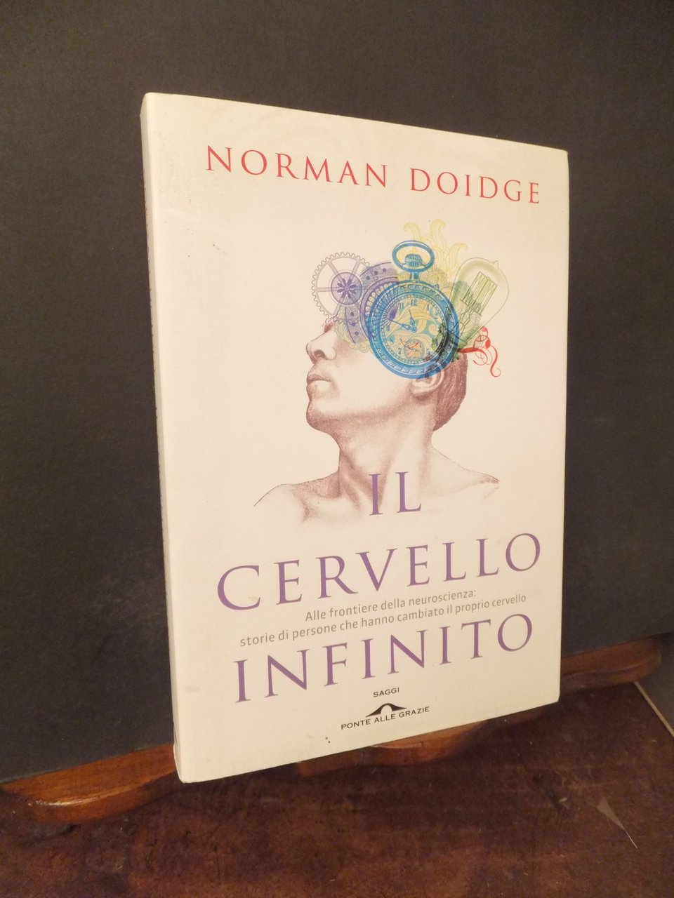 IL CERVELLO INFINITO