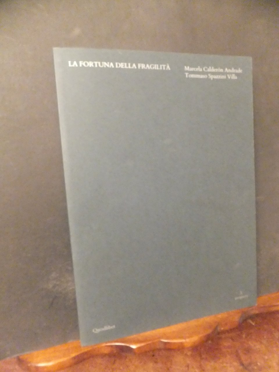 LA FORTUNA DELLA FRAGILITÀ | Immagine principale