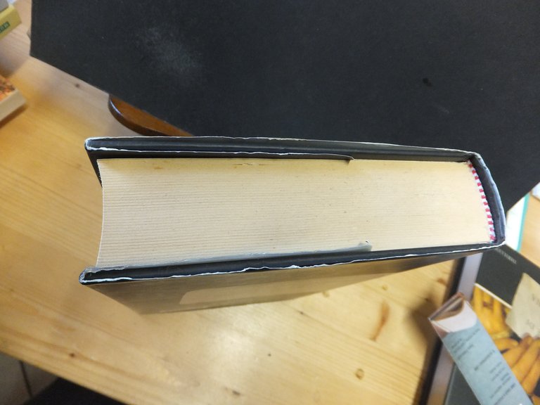 IL VANGELO DI MARIA MADDALENA