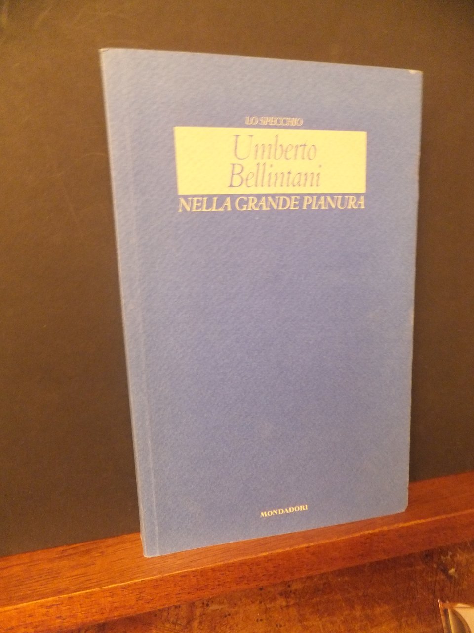 NELLA GRANDE PIANURA