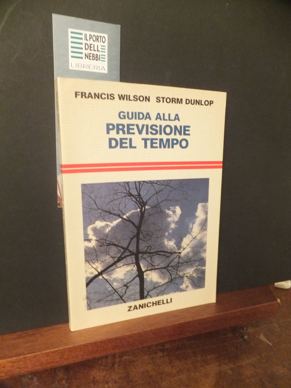 GUIDA ALLA PREVISIONE DEL TEMPO