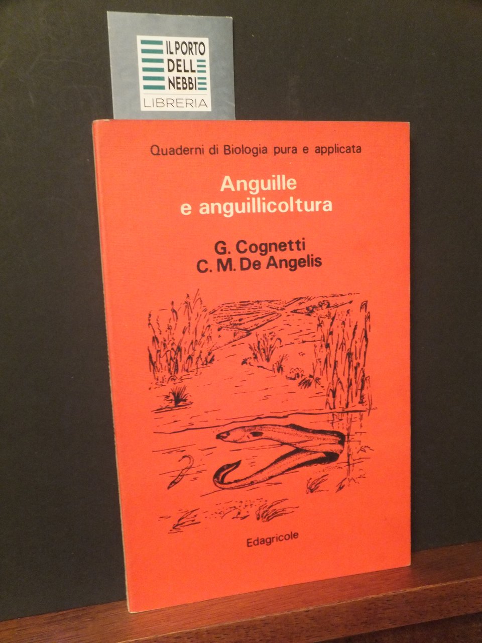 ANGUILLE E ANGUILLICOLTURA