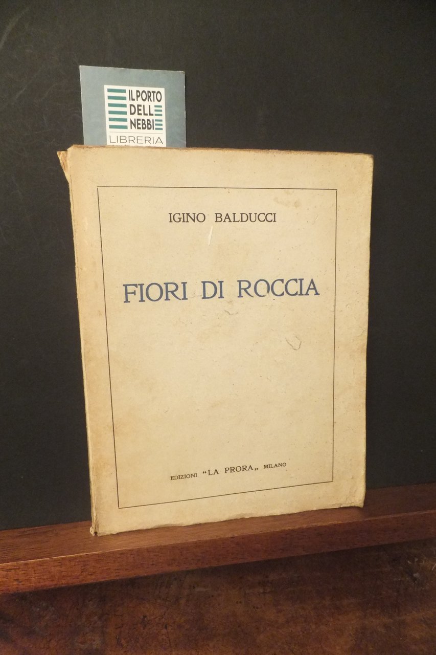 FIORI DI ROCCIA