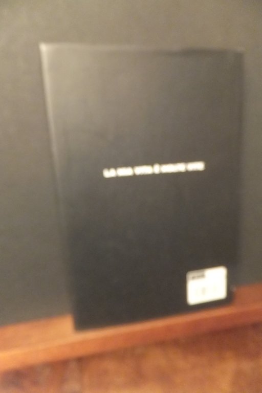 GIANNANANNINI CAZZIMIEI