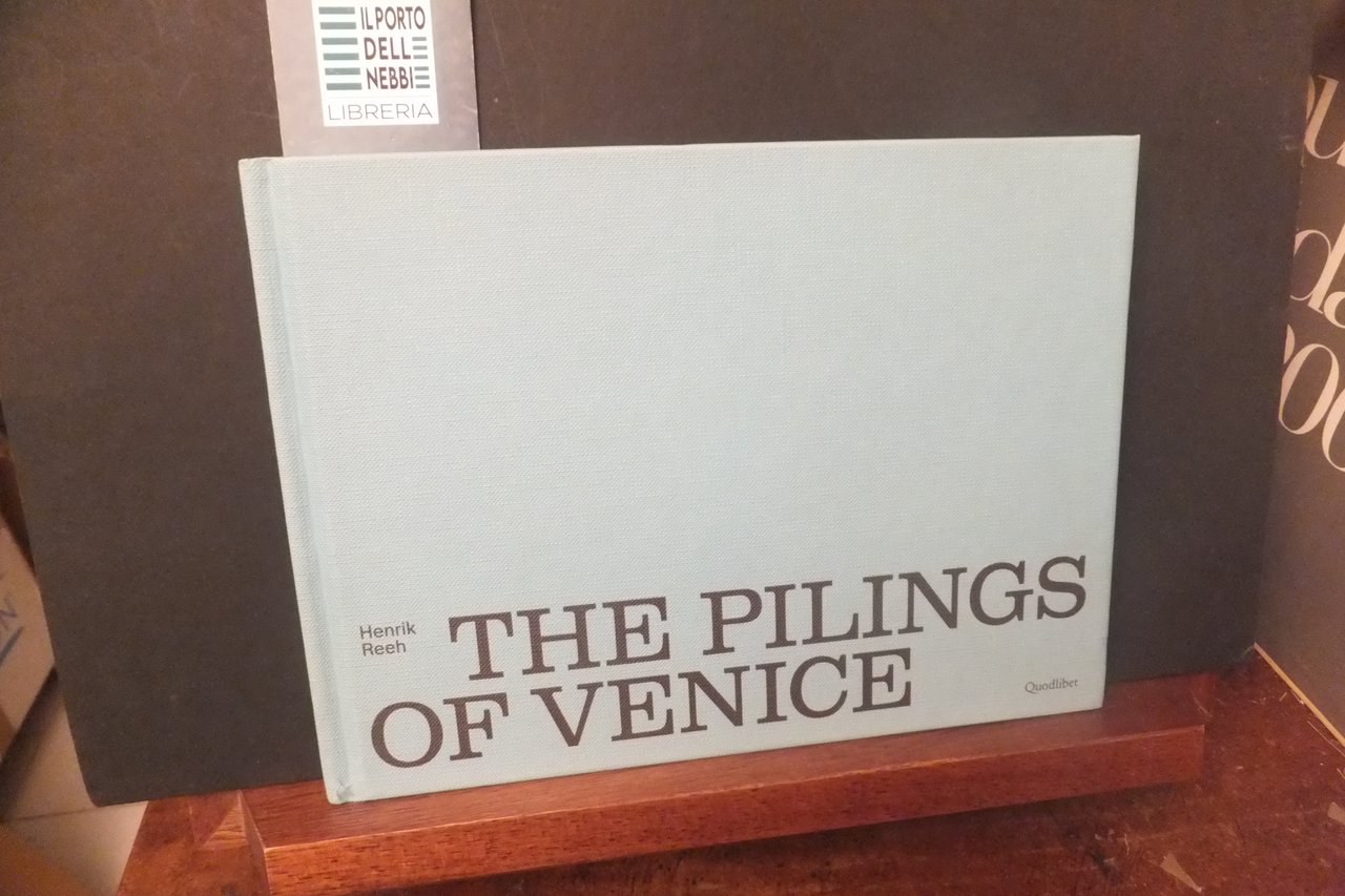 THE PILINGS OF VENICE | Immagine principale