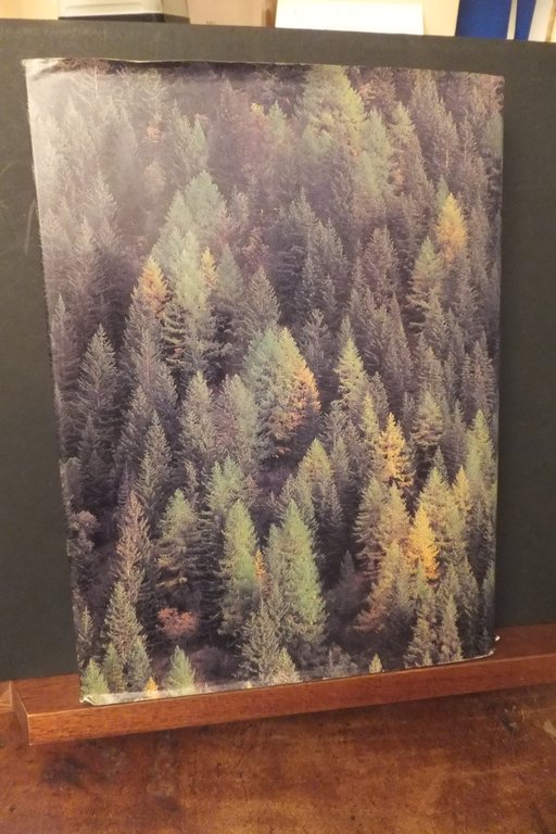 LA TERRA DEGLI CHALLANT GENTI E PAESI DELLA COMUNITA' MONTANA …