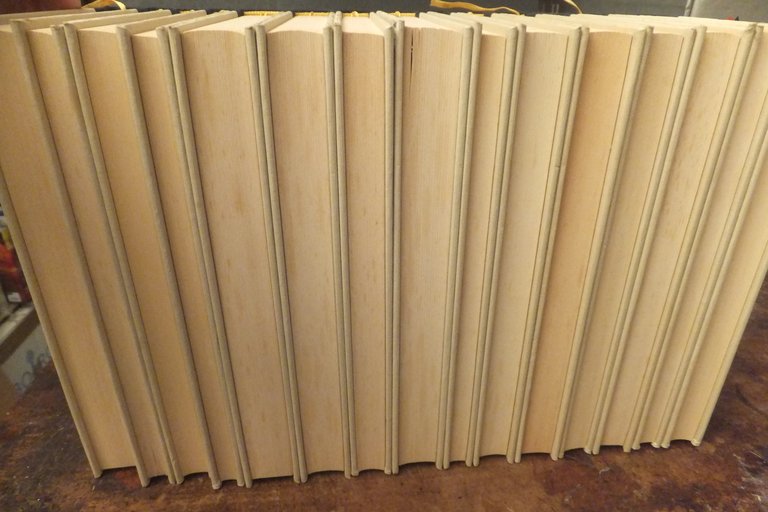 CRONACHE SEGRETI E SOGNI NEL MEDIOEVO