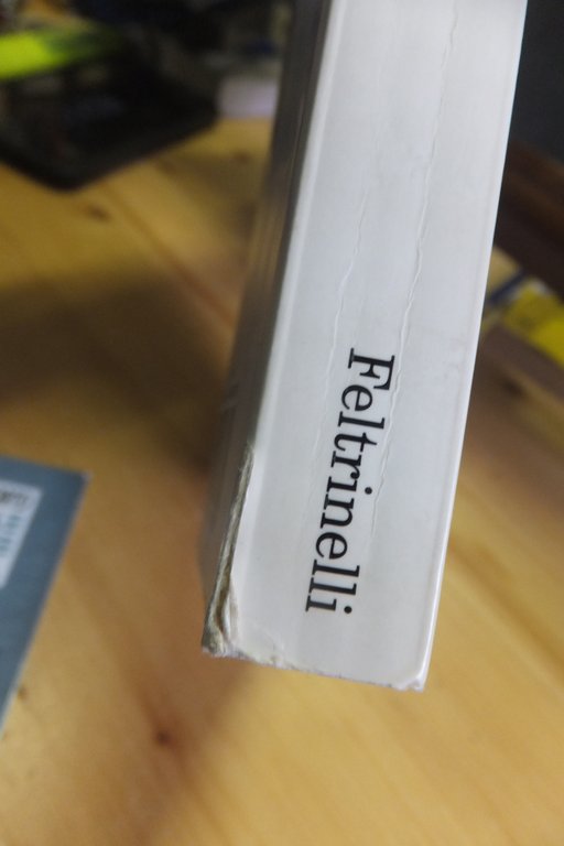 CON UN PIEDE IMPIGLIATO NELLA STORIA