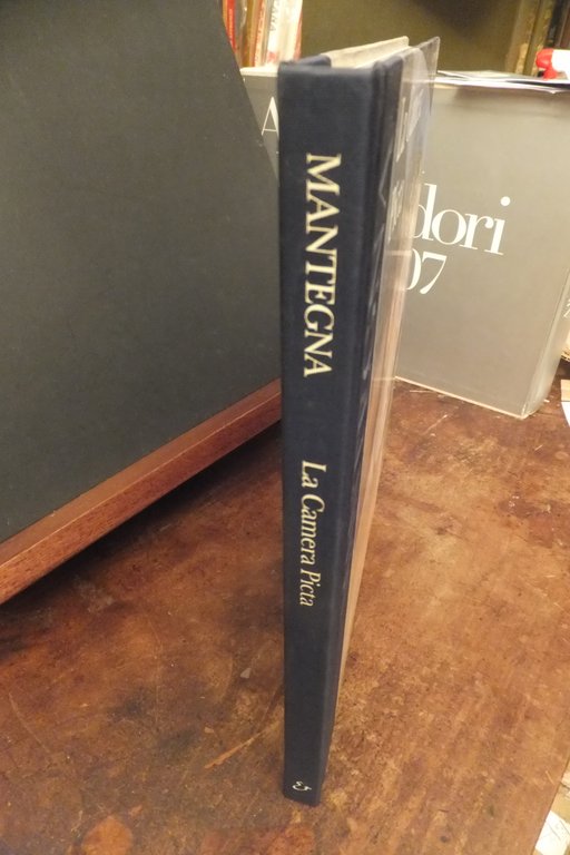 MANTEGNA LA CAMERA PICTA