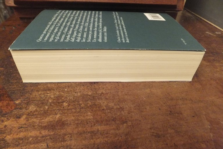 LA FORTUNA DEI MEIJER CHARLES LEWINSKY