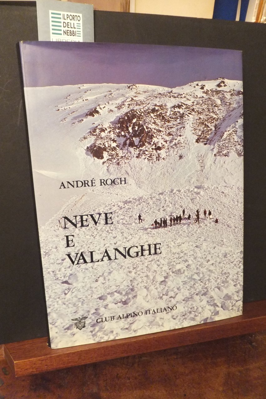 NEVE E VALANGHE ANDRE ROCH