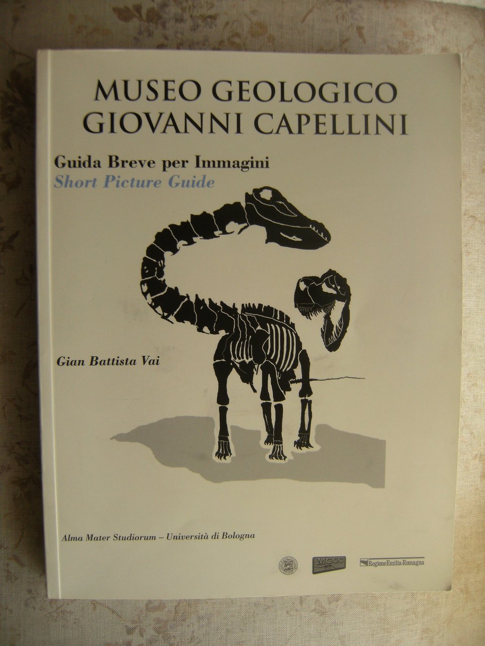 MUSEO GEOLOGICO GIOVANNI CAPELLINI