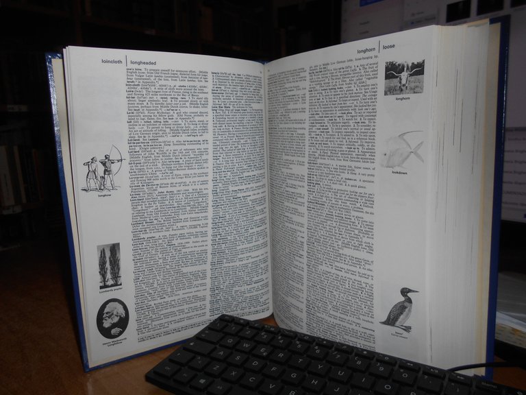 AA. VV. The GROLIER International Dictionary 1981