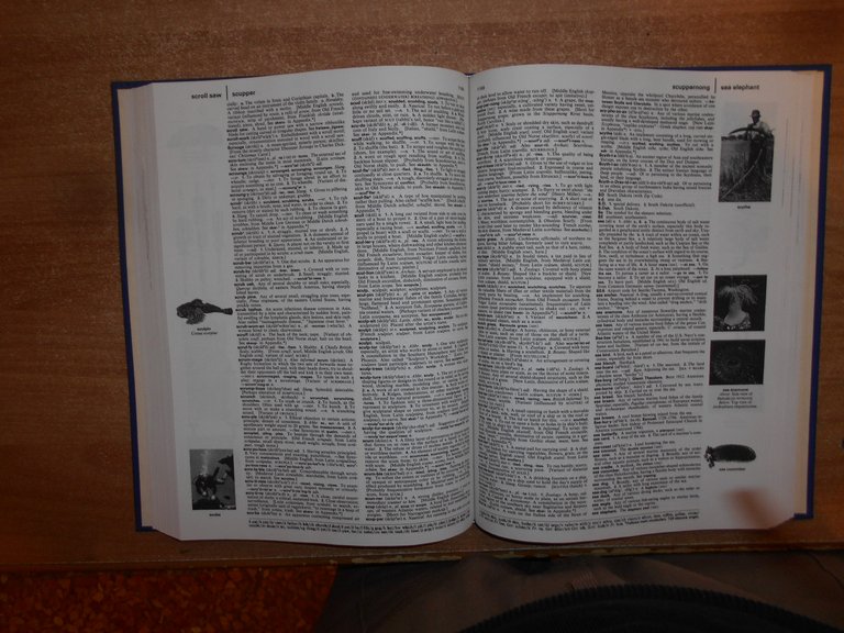 AA. VV. The GROLIER International Dictionary 1981