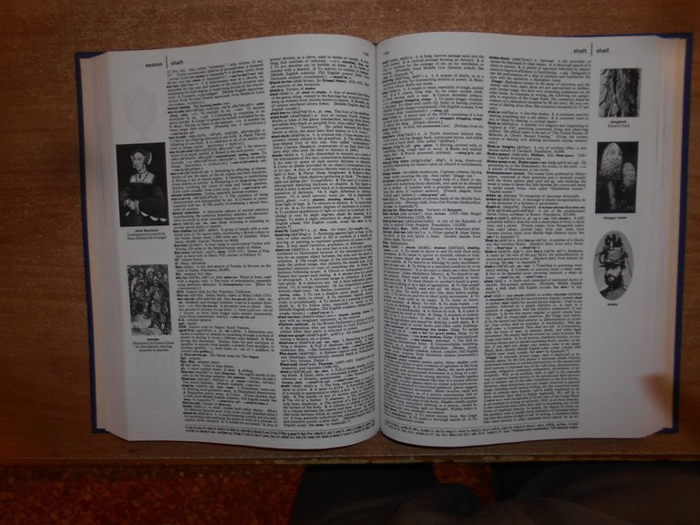 AA. VV. The GROLIER International Dictionary 1981