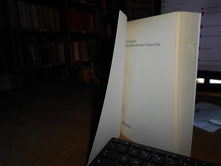 Dizionario delle Dinastie Faraoniche. FRANCO CIMMINO 2003