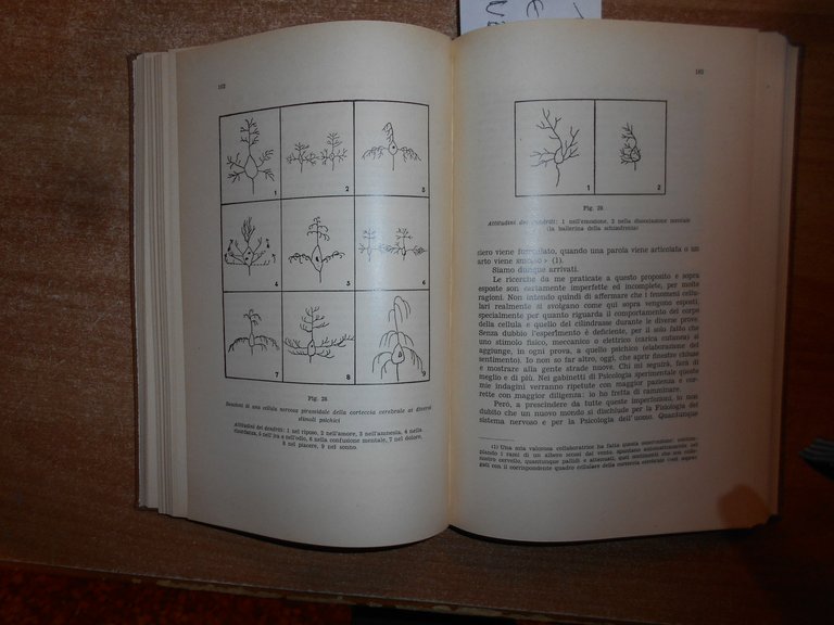 Le Meraviglie dell' Autoscopia. Spirito/Metapsicologia...GIUSEPPE CALLIGARIS 1933