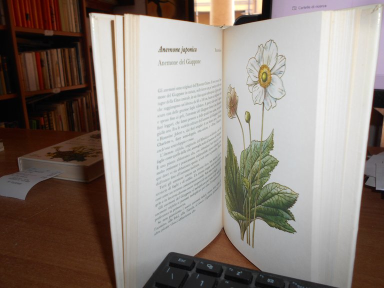 LE PIANTE dei giardini rocciosi. Atlante illustrato. C. Bohm 1974