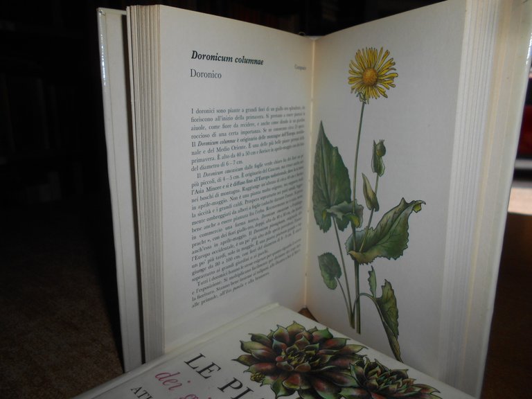 LE PIANTE dei giardini rocciosi. Atlante illustrato. C. Bohm 1974