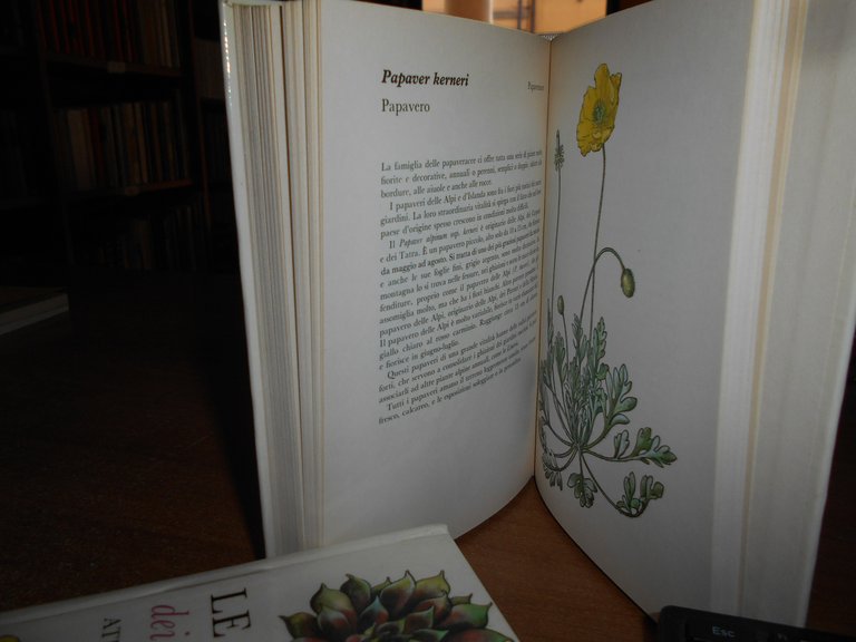 LE PIANTE dei giardini rocciosi. Atlante illustrato. C. Bohm 1974