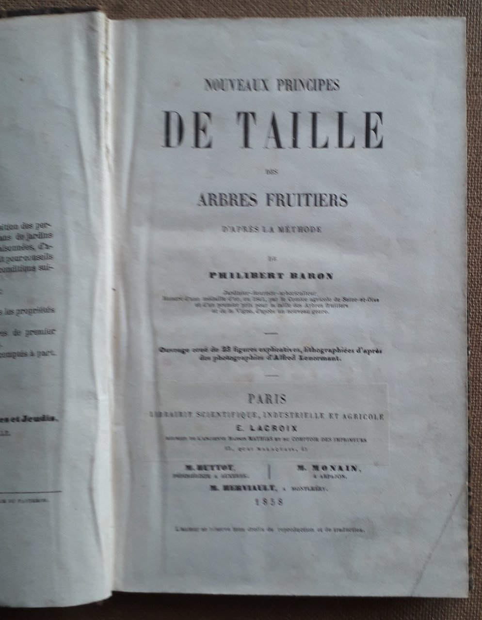 Nouveaux principes de taille des arbres d'apres la methode de …