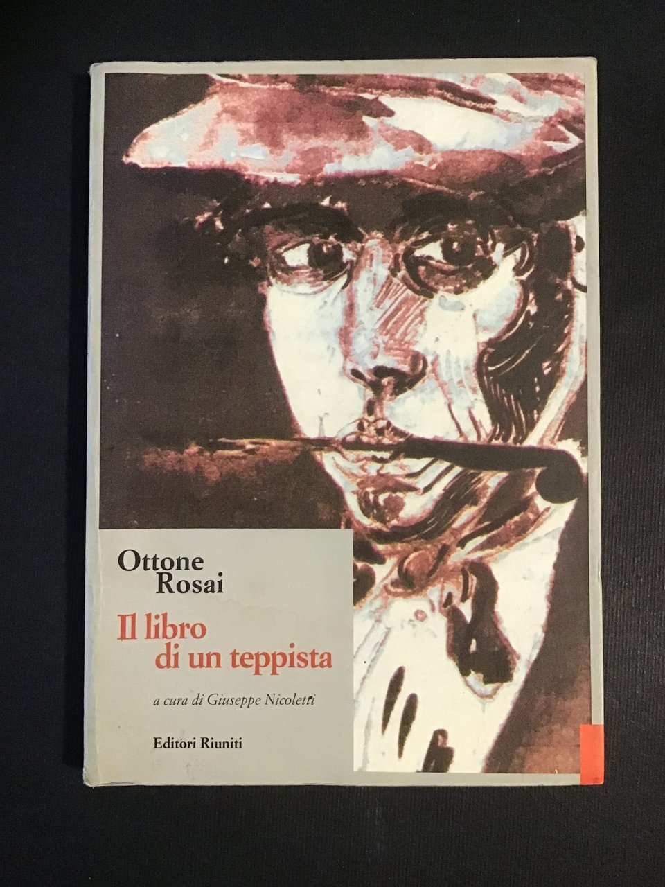 IL LIBRO DI UN TEPPISTA