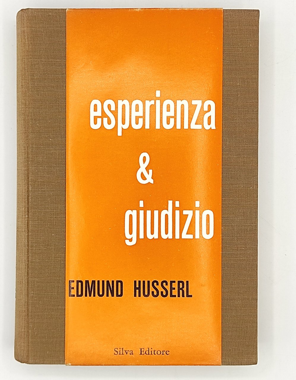 Esperienza e giudizio