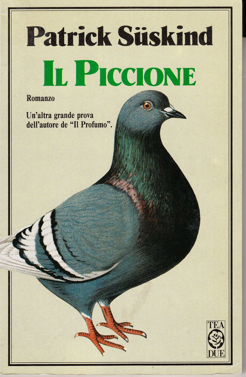 Il piccione