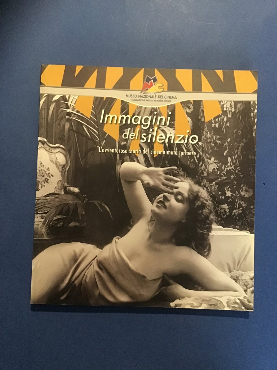 IMMAGINI DEL SILENZIO. L'AVVENTUROSA STORIA DEL CINEMA MUTO TORINESE