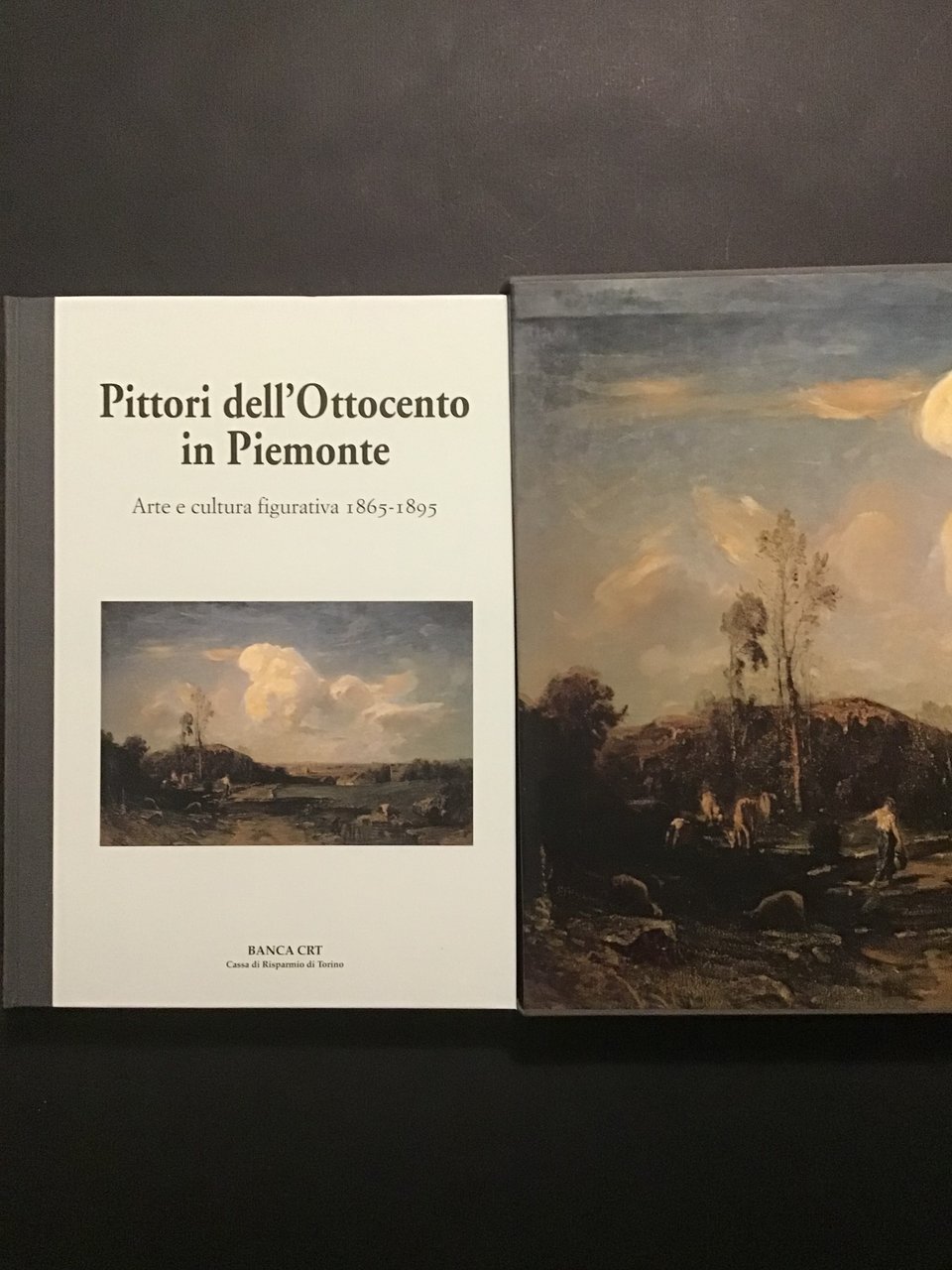 PITTORI DELL'OTTOCENTO IN PIEMONTE 1865-1895 ARTE E CULTURA FIGURATIVA
