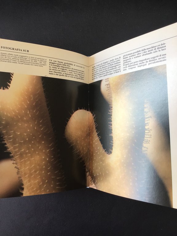 NAUTICUS GRANDE ENCICLOPEDIA DELLA NAUTICA. VIVERE A BORDO | Immagine Gallery 2